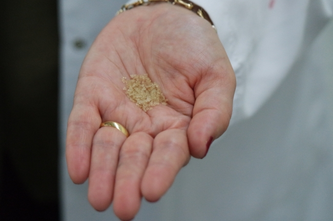 Arı sütünün raf ömrünü uzattılar