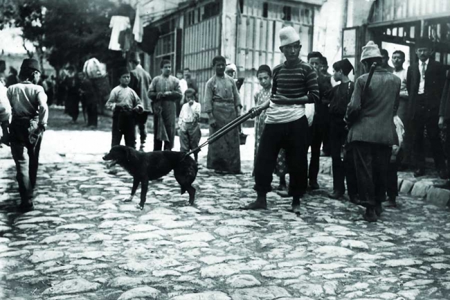 Geçmişten günümüze Türk toplumunda hayvan hakları