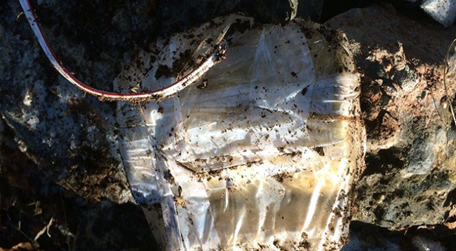 Yurt içerisindeki terör operasyonları aralıksız sürüyor