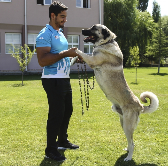 Taha Akgül Paris'te rekor peşinde