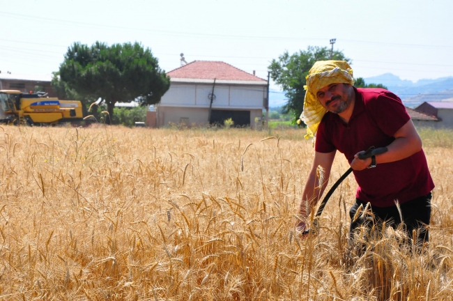 Okulu ve öğrencileri için 8 dönümlük araziyi ekti