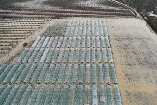 Mersin'de sağanak tarım alanlarına zarar verdi