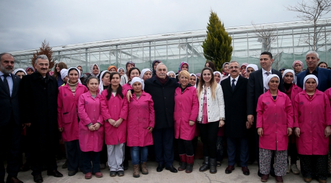 Bakan Fakıbaba: Rusya'ya domates ihracatı yapan firma sayısını arttıracağız