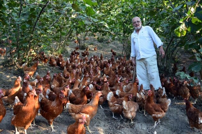 60 tavukla başladı, köy tavukçuluğunu canlandırdı