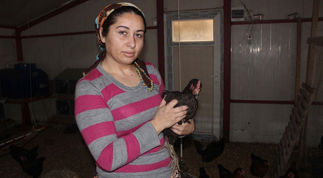 Ev hanımıyken tavuk çiftliği sahibi oldu