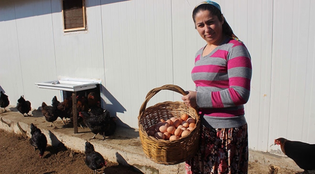 Ev hanımıyken tavuk çiftliği sahibi oldu