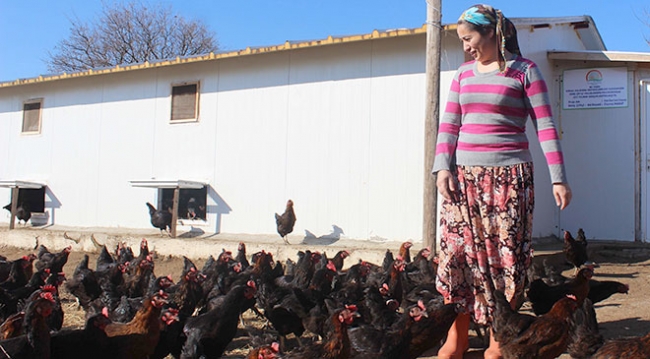 Ev hanımıyken tavuk çiftliği sahibi oldu