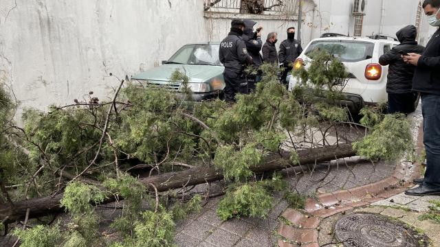 Fırtına çatıları uçurdu, ağaç ve direkleri devirdi