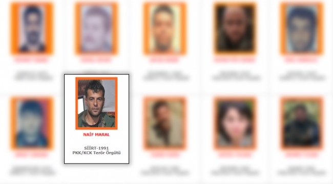 Turuncu kategorideki terörist etkisiz hale getirildi