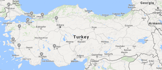 Elon Musk, Türkiye'de Tesla Şarj İstasyonları'nın kurulacağı bölgeleri doğruladı