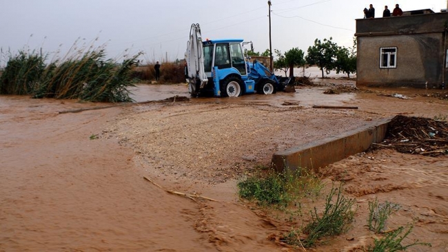 Düzensiz yağışlar buğdayda üretim kaybına yol açtı
