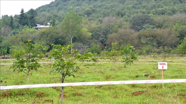 2B arazilerinin devrinden 3 yılda yaklaşık 2 milyar lira gelir bekleniyor