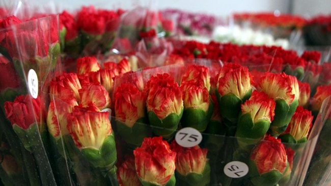 Türkiye'den 39 ülkeye çiçek ihracatı