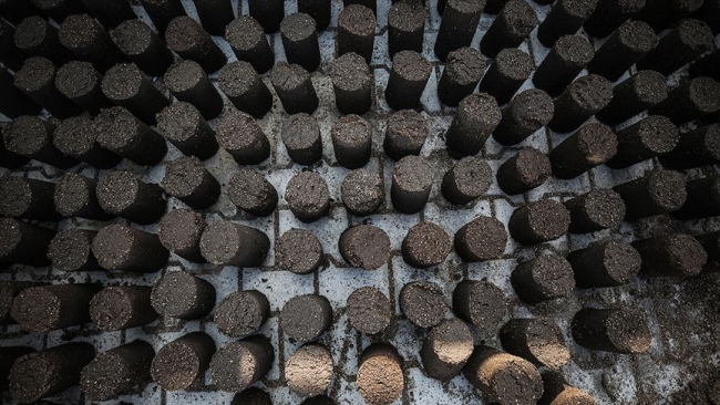 Gazze'de zeytin çekirdeğinden çevre dostu yakıt üretiliyor