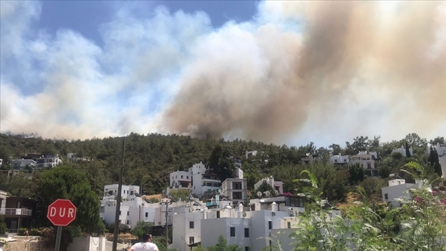 Bodrum'daki orman yangını kontrol altına alındı