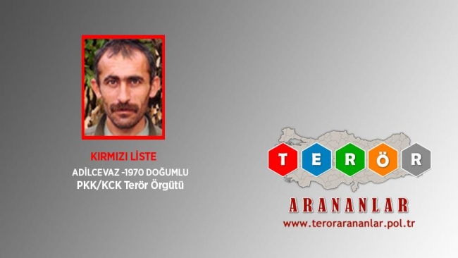 'Kırmızı' listede aranan terörist Hakkari'de etkisiz hale getirildi