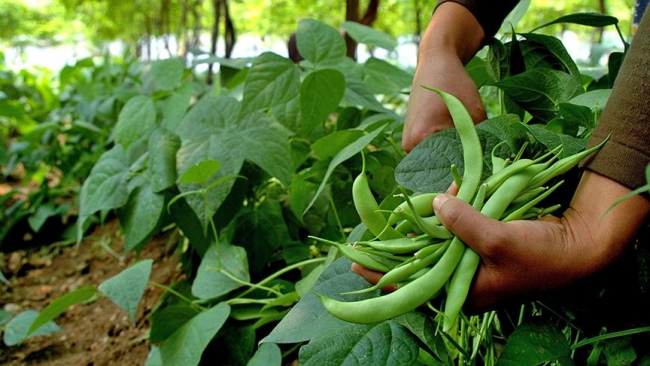 Şubat ayı enflasyon rakamları açıklandı