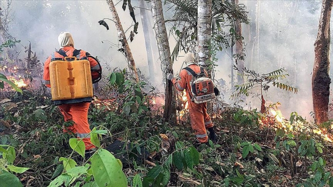 Amazonlardaki yangınlara çözüm için zirve düzenlenecek