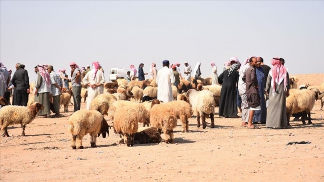 Barış Pınarı bölgesi bayrama hazır