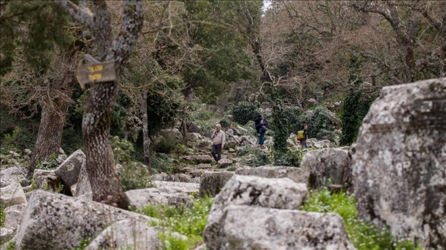 Antalya'da ender türleri barından Termessos Milli Parkı / Fotoğraf: AA