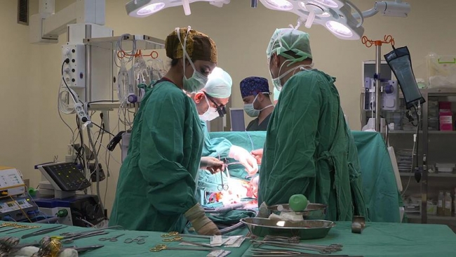 Canlıdan nakilde dünyaya 'ders' veriyoruz