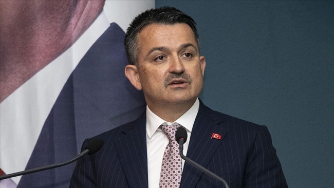 Marmara Adası'ndaki yangın kontrol altına alındı