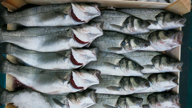 Türk balığı Rusya ve ABD sofralarında