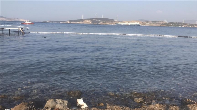 Foça'da denize sızan akaryakıtın yüzde 80'i temizlendi
