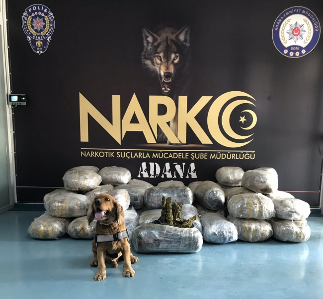 Tırın dorsesinde 250 kilo esrar bulundu