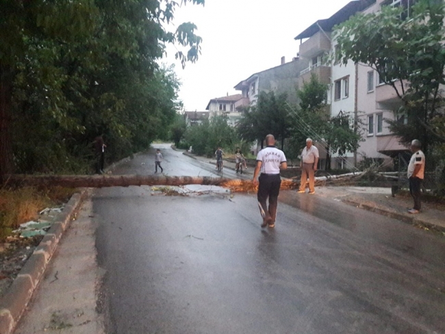 Şiddetli fırtına çatıları uçurdu, ağaçları devirdi