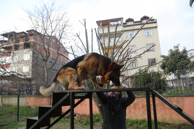 "Tommy" güvenlik güçlerinin en büyük destekçisi