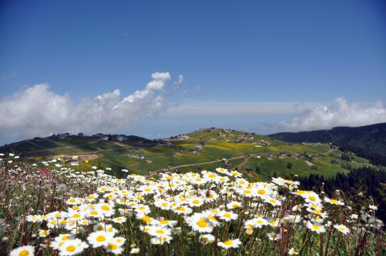 Eşsiz doğası ile turistlerin gözdesi: Tonya