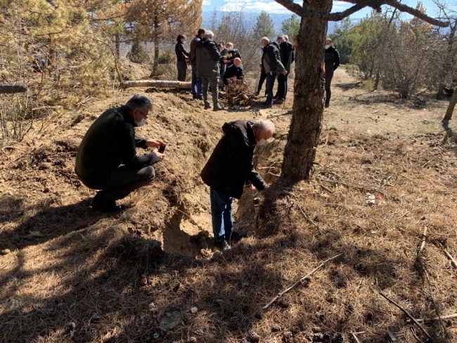 Uzman ekipler Tosya'da yaşanan ağaç kuruluklarını araştıracak
