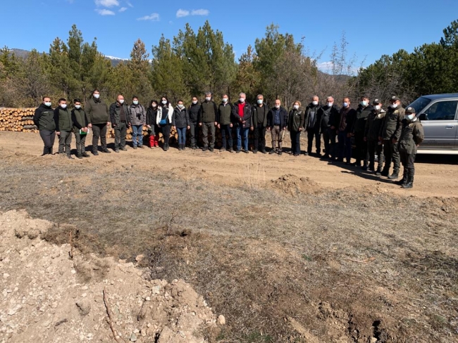 Uzman ekipler Tosya'da yaşanan ağaç kuruluklarını araştıracak