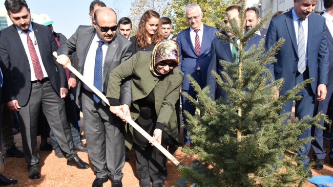 81 ilde 11 milyon fidan toprakla buluştu