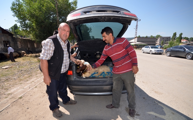 Doğu Anadolu'da kurban pazarlarında hareketlilik