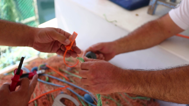 Balık avcılığında yeni dönem: Karekodlu marka zorunluluğu geliyor