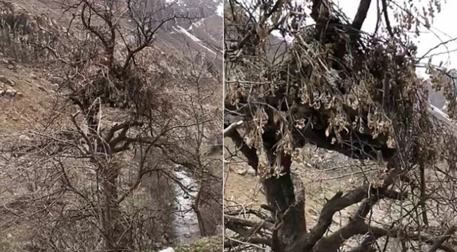 Teröristlerin gözetleme kuleleri deşifre oldu