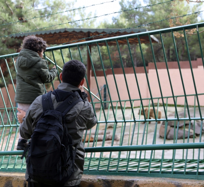 Türkiye'nin en büyük hayvanat bahçesi 5 milyon ziyaretçi bekliyor