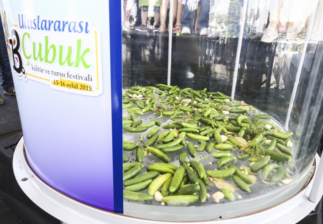 Dünyanın en büyük turşu kurma rekor denemesi yapıldı