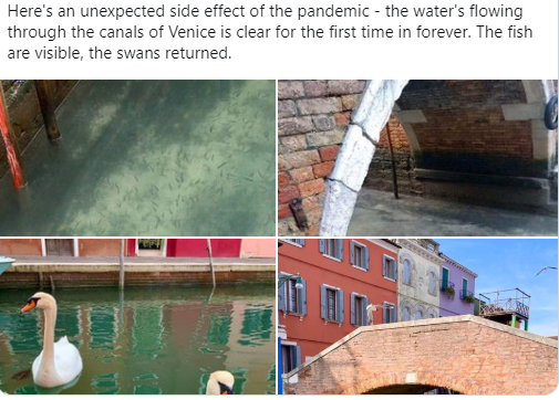 Koronavirüs karantinasının ardından İtalya'da hava ve su temizlendi