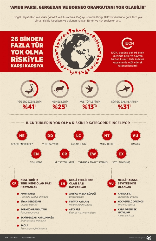 Araştırmalara göre Amur parsı, siyah gergedan ve Borneo orangutanı yok olabilir