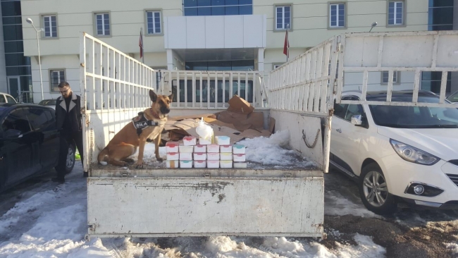 Van'da ele geçirildi: Piyasa değeri 1,5 milyon lira