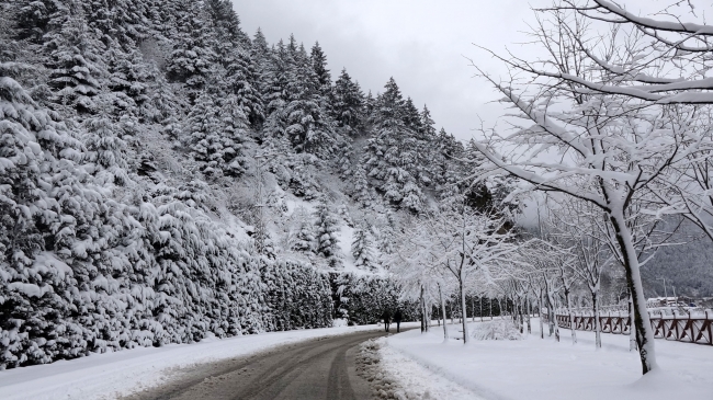 Trabzon’un ünlü turizm merkezi Uzungöl beyaza büründü
