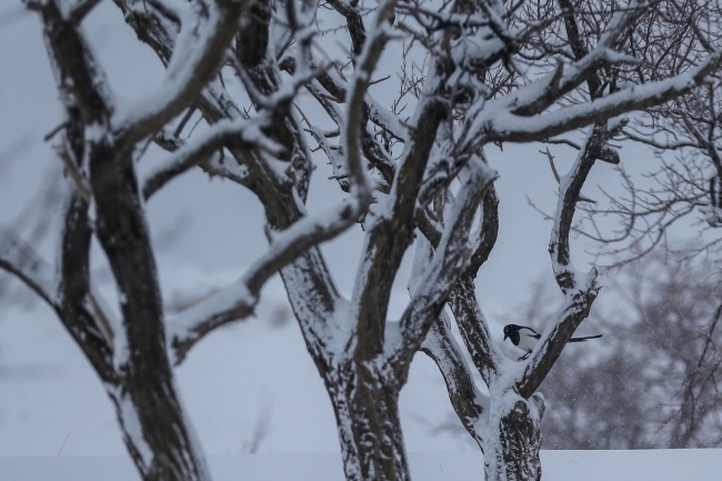 1028 yol kar ve tipi nedeniyle kapandı