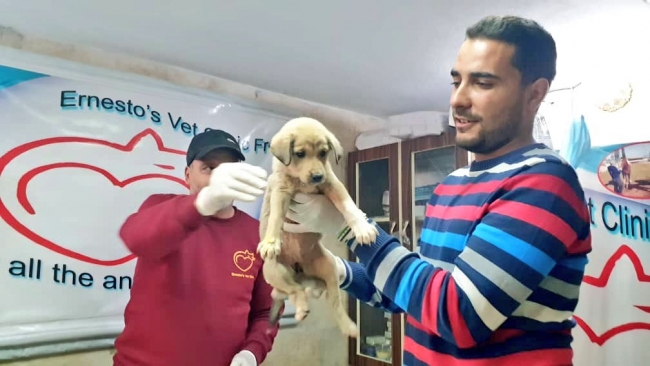 Fotoğraf: Fared Alhor (Twitter)