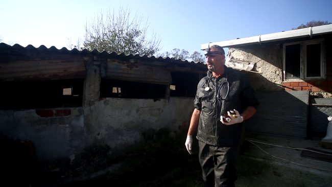 İstanbul'daki köylerin veterineri