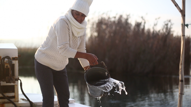 Ege’nin ön yargıları yıkan kadın balıkçıları