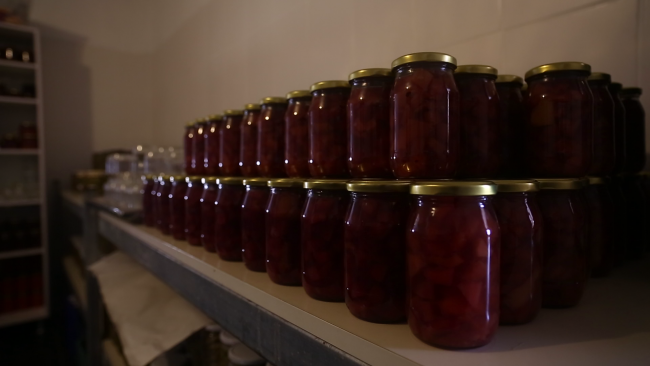 Şehirden kaçıp tarımsal üretime gönül verenler