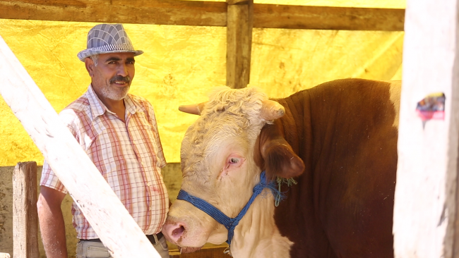 Kurban pazarında 24 saat